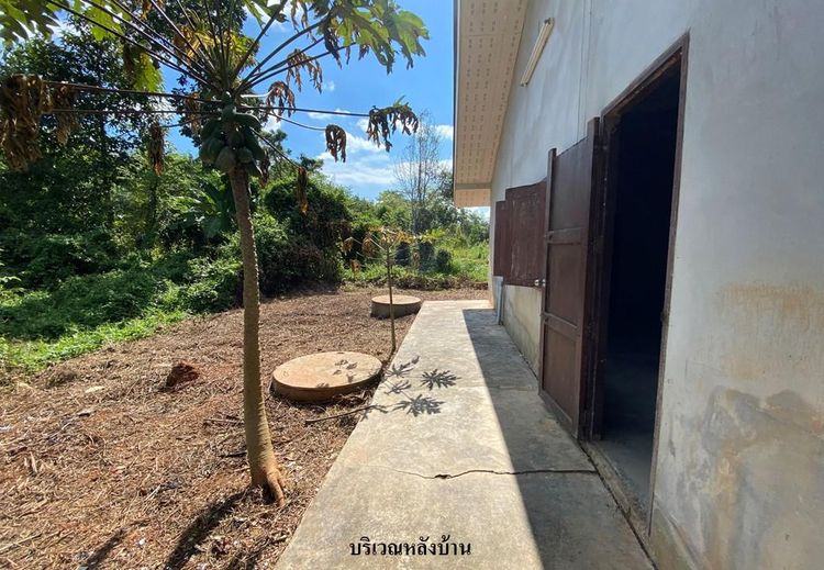 āđāļāđ ð āļāđāļēāļ āđāļĄāļ·āļāļāļĢāļ°āļĒāļāļ āļĢāļēāļāļēāļāļīāđāļĻāļĐ! ð āļĢāļđāļāļāļĩāđ 3