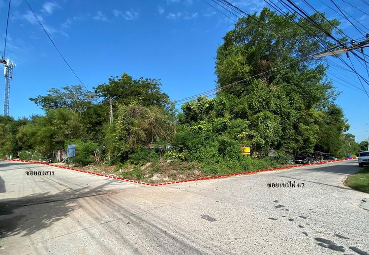 💖 บ้าน เมืองระยอง ราคาพิเศษ! 💖