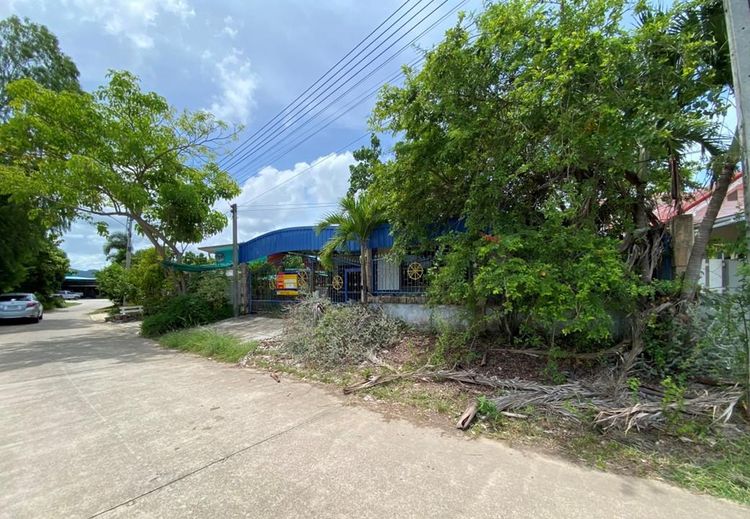 ใช่ 💖 บ้าน เมืองระยอง ราคาพิเศษ! 💖 รูปที่ 3