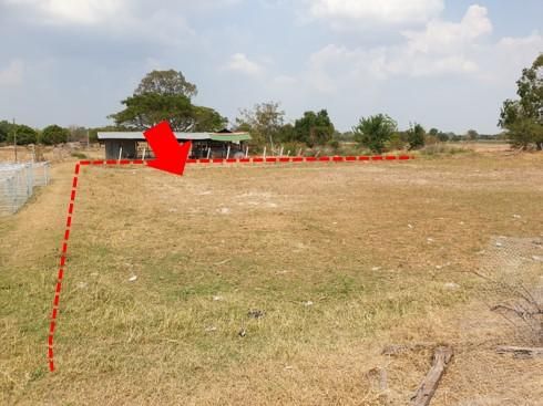 ใช่ 💖 บ้าน ศรีสมเด็จ ราคาพิเศษ! 💖 รูปที่ 3