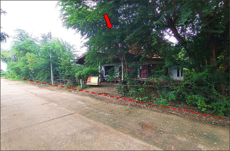 ใช่ 💖 บ้าน เสลภูมิ ราคาพิเศษ! 💖 รูปที่ 2