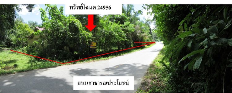 ใช่ 💖 บ้าน เทพา ราคาพิเศษ! 💖 รูปที่ 4