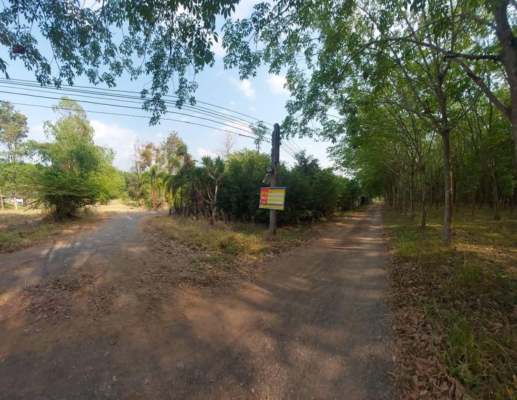 💖 บ้าน วาริชภูมิ ราคาพิเศษ! 💖