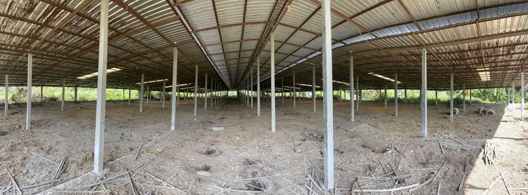 ใช่ 💖 บ้าน บางปลาม้า ราคาพิเศษ! 💖 รูปที่ 4