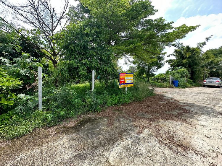 ใช่ 💖 บ้าน วังม่วง ราคาพิเศษ! 💖 รูปที่ 3