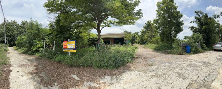 ใช่ 💖 บ้าน วังม่วง ราคาพิเศษ! 💖 รูปที่ 2