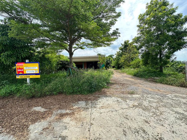 ใช่ 💖 บ้าน วังม่วง ราคาพิเศษ! 💖