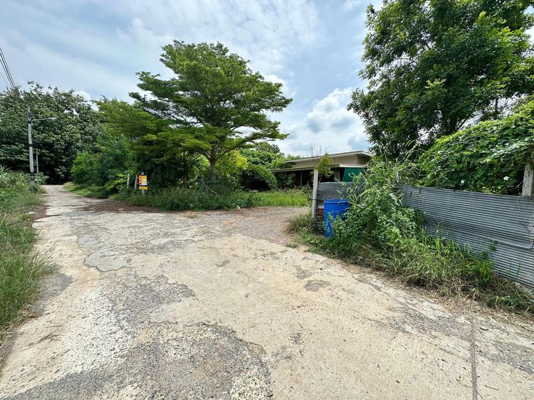 ใช่ 💖 บ้าน วังม่วง ราคาพิเศษ! 💖 รูปที่ 4