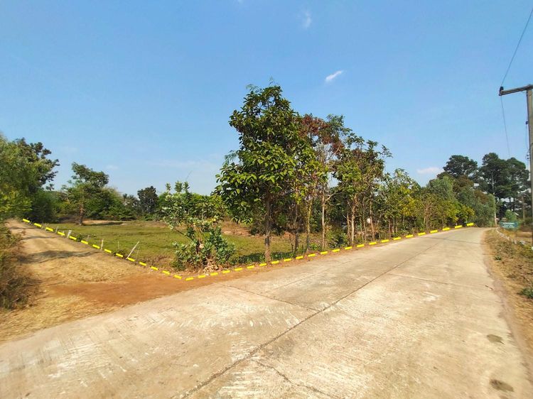 ใช่ 💖 บ้าน กันทรารมย์ ราคาพิเศษ! 💖 รูปที่ 4