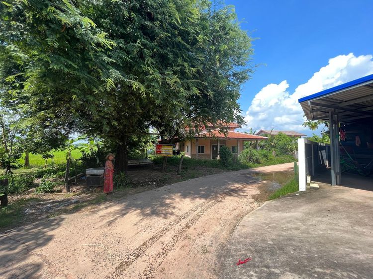 💖 บ้าน ศรีณรงค์ ราคาพิเศษ! 💖