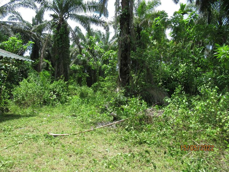 ใช่ 💖 บ้าน พระแสง ราคาพิเศษ! 💖 รูปที่ 4