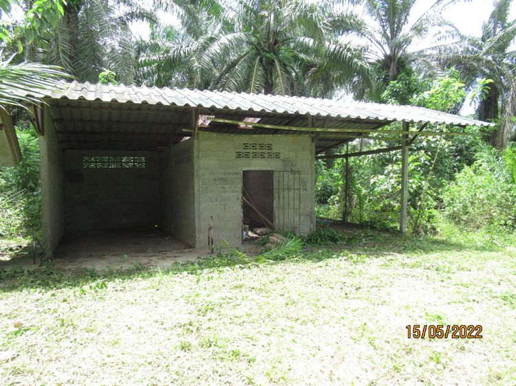 ใช่ 💖 บ้าน พระแสง ราคาพิเศษ! 💖 รูปที่ 3