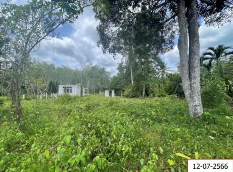 āđāļāđ ð āļāđāļēāļ āļāļēāļāļāļāļāļīāļĐāļāđ āļĢāļēāļāļēāļāļīāđāļĻāļĐ! ð āļĢāļđāļāļāļĩāđ 2