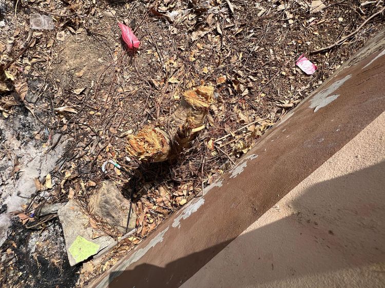 💖 บ้าน เมืองสตูล ราคาพิเศษ! 💖 รูปที่ 3