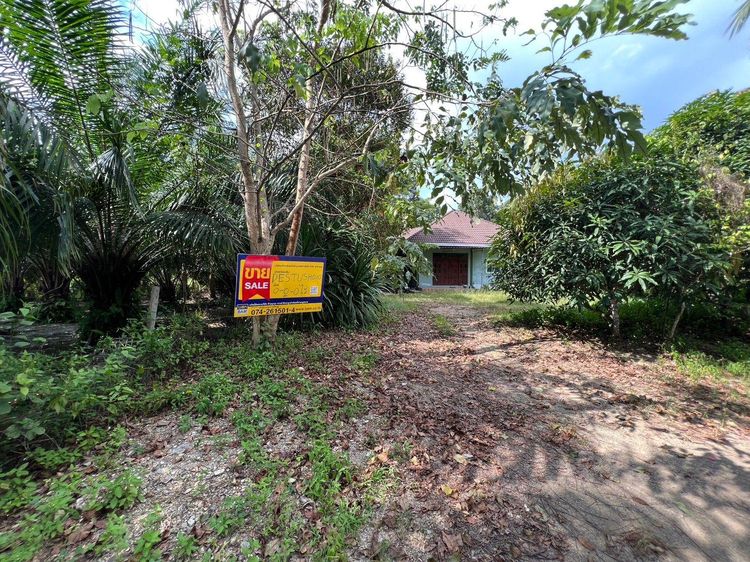 ใช่ 💖 บ้าน เมืองสตูล ราคาพิเศษ! 💖 รูปที่ 4