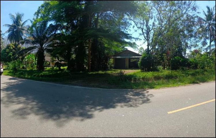 ใช่ 💖 บ้าน สิเกา ราคาพิเศษ! 💖 รูปที่ 3