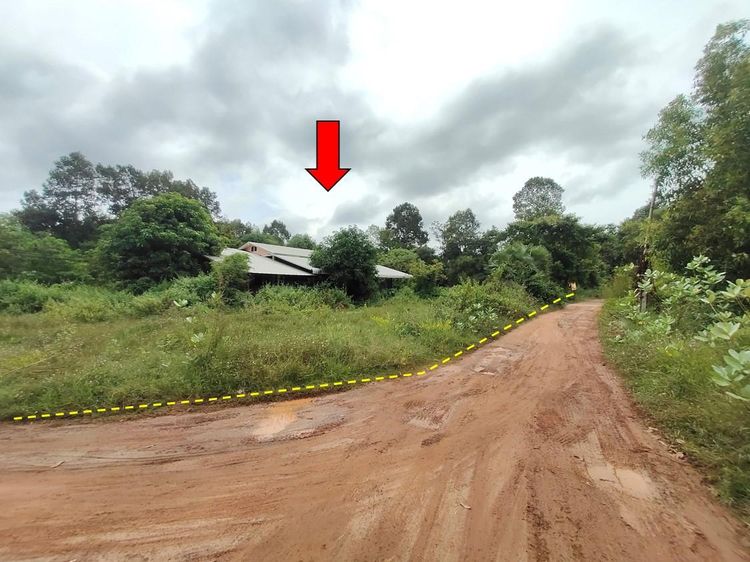 ใช่ 💖 บ้าน วารินชำราบ ราคาพิเศษ! 💖 รูปที่ 2