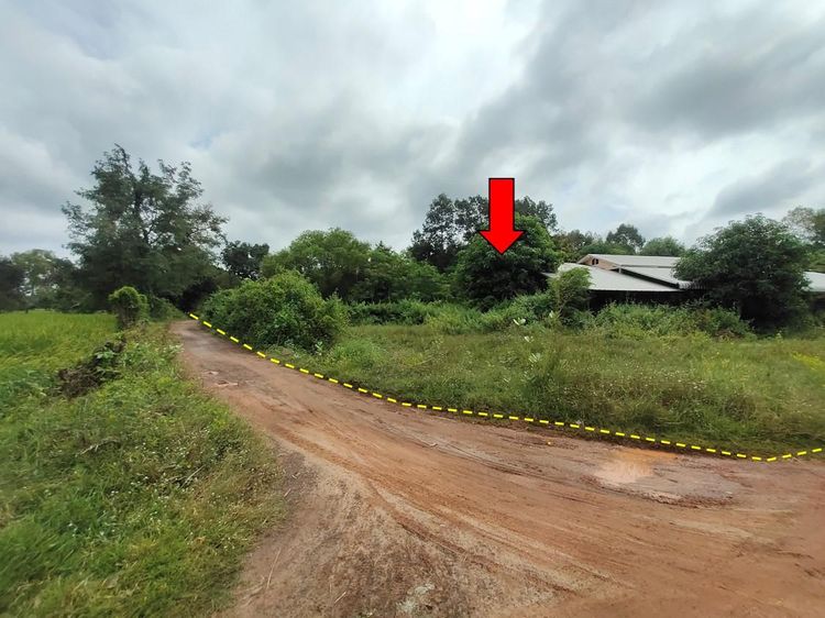 ใช่ 💖 บ้าน วารินชำราบ ราคาพิเศษ! 💖 รูปที่ 3