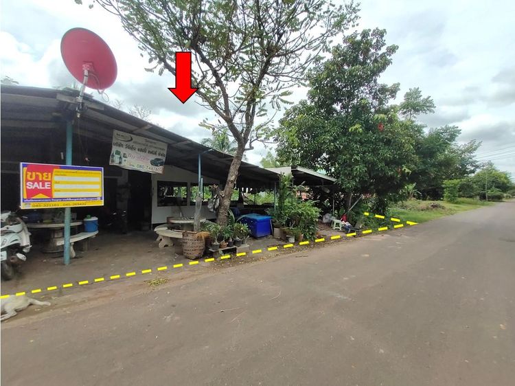 ใช่ 💖 บ้าน ม่วงสามสิบ ราคาพิเศษ! 💖 รูปที่ 2