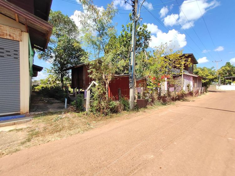 ใช่ 💖 บ้าน กุดข้าวปุ้น ราคาพิเศษ! 💖 รูปที่ 2