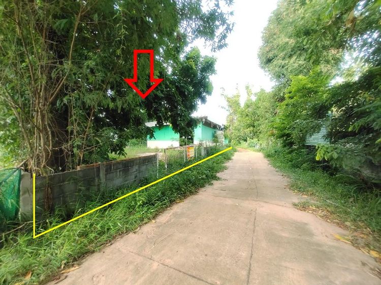 ใช่ 💖 บ้าน ม่วงสามสิบ ราคาพิเศษ! 💖 รูปที่ 2