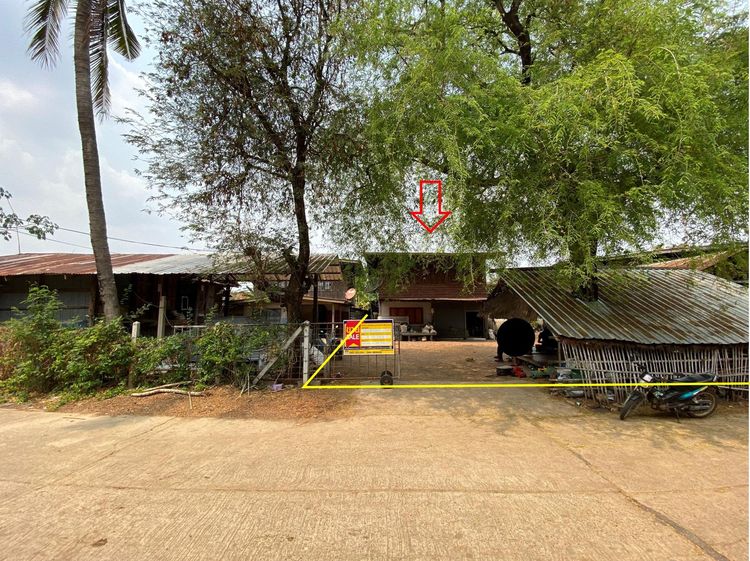 💖 บ้าน ม่วงสามสิบ ราคาพิเศษ! 💖