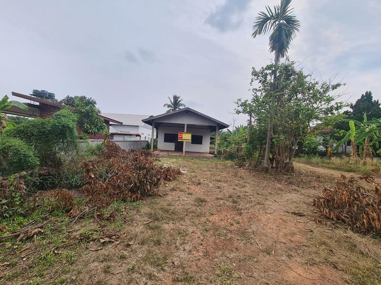 āđāļāđ ð āļāđāļēāļ āļāļļāļāļāļąāļ āļĢāļēāļāļēāļāļīāđāļĻāļĐ! ð āļĢāļđāļāļāļĩāđ 2