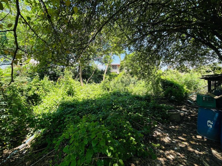 āđāļāđ ð āļāļĩāđāļāļīāļ āļāļĢāļ°āļāļāļĢāļĻāļĢāļĩāļāļĒāļļāļāļĒāļē āļĢāļēāļāļēāļāļīāđāļĻāļĐ! ð āļĢāļđāļāļāļĩāđ 3