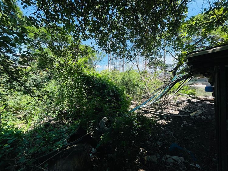 ใช่ 💖 ที่ดิน พระนครศรีอยุธยา ราคาพิเศษ! 💖 รูปที่ 4