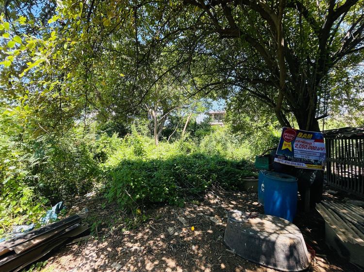 āđāļāđ ð āļāļĩāđāļāļīāļ āļāļĢāļ°āļāļāļĢāļĻāļĢāļĩāļāļĒāļļāļāļĒāļē āļĢāļēāļāļēāļāļīāđāļĻāļĐ! ð āļĢāļđāļāļāļĩāđ 2