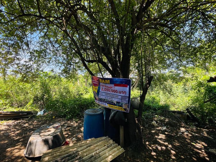 💖 ที่ดิน พระนครศรีอยุธยา ราคาพิเศษ! 💖