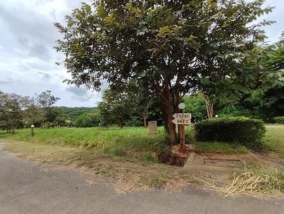 💖 ที่ดิน ปากช่อง ราคาพิเศษ! 💖 รูปที่ 4