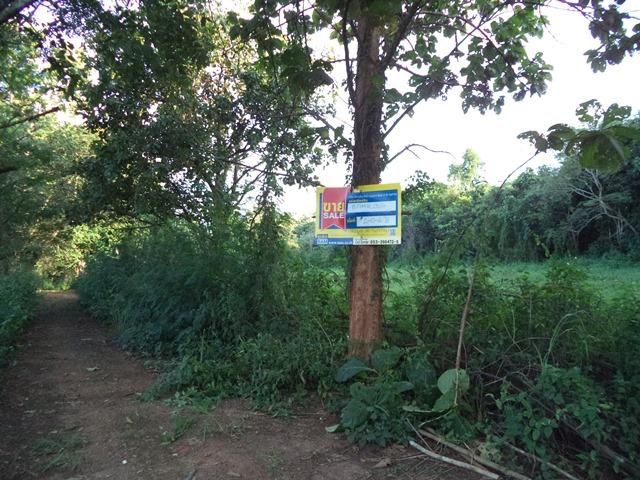 ใช่ 💟 ที่ดินเปล่า โครงการมิสตี้ฮิล เชียงใหม่ 💟 รูปที่ 4