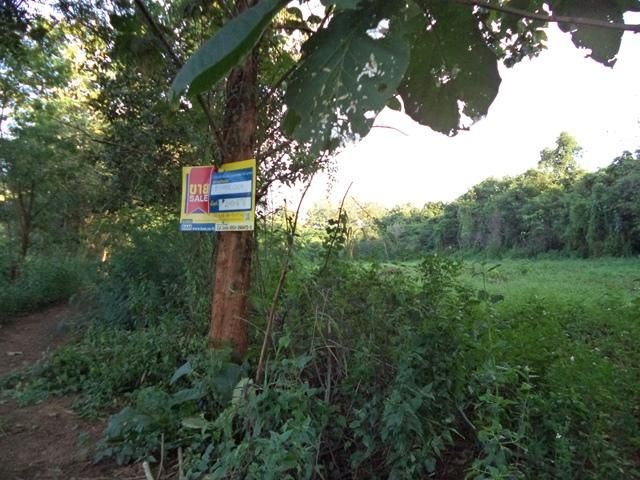 ใช่ 💟 ที่ดินเปล่า โครงการมิสตี้ฮิล เชียงใหม่ 💟 รูปที่ 3