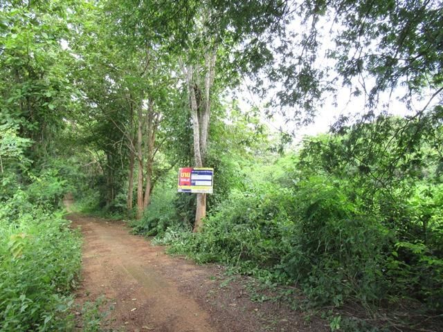 ใช่ 💟 ที่ดินเปล่า โครงการมิสตี้ฮิล เชียงใหม่ 💟