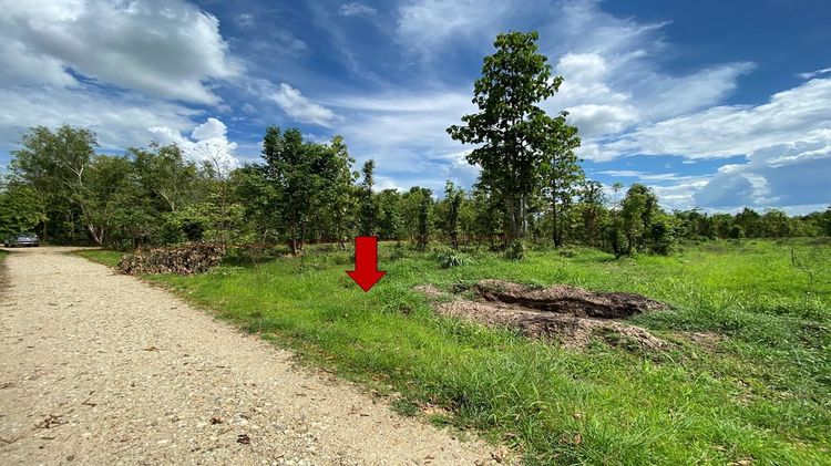 āđāļāđ ð āļāļĩāđāļāļīāļ āļāđāļēāļāļēāļ āļĢāļēāļāļēāļāļīāđāļĻāļĐ! ð āļĢāļđāļāļāļĩāđ 3