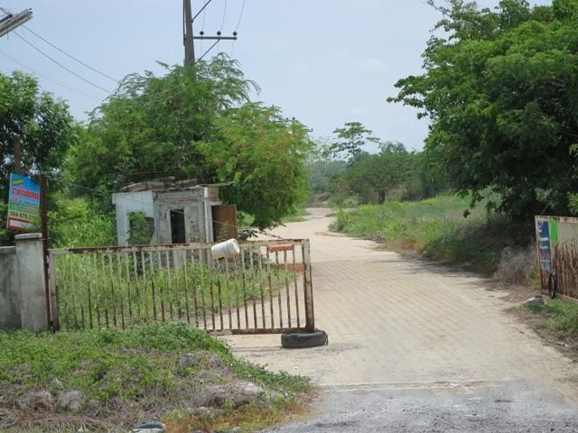 ใช่ 💖 ที่ดิน สามโคก ราคาพิเศษ! 💖 รูปที่ 3