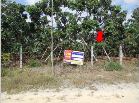 ใช่ 💖 ที่ดิน จอมทอง ราคาพิเศษ! 💖