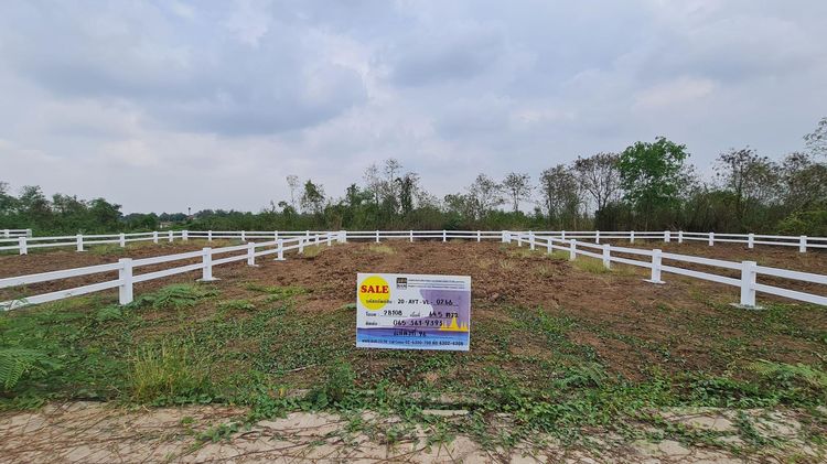 ใช่ 💖 ที่ดิน พระนครศรีอยุธยา ราคาพิเศษ! 💖 รูปที่ 4