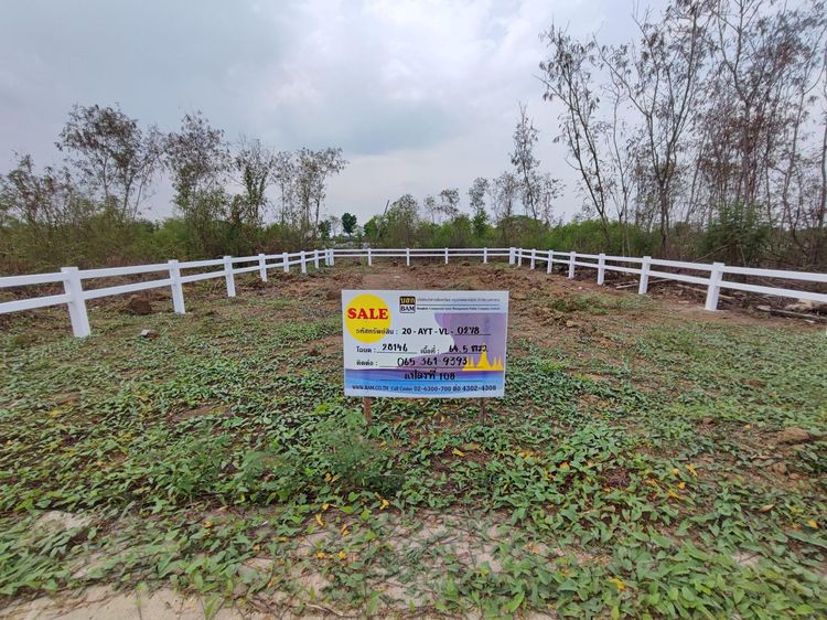 💖 ที่ดิน พระนครศรีอยุธยา ราคาพิเศษ! 💖