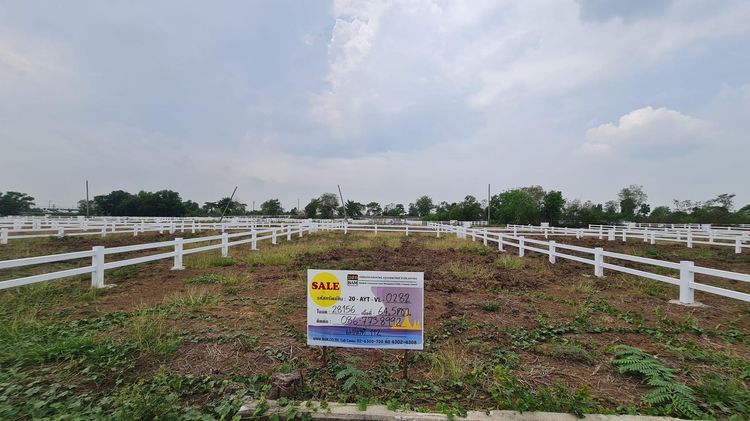 💖 ที่ดิน พระนครศรีอยุธยา ราคาพิเศษ! 💖