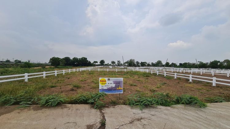 💖 ที่ดิน พระนครศรีอยุธยา ราคาพิเศษ! 💖