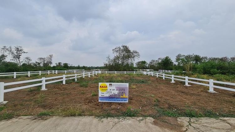 ใช่ 💖 ที่ดิน พระนครศรีอยุธยา ราคาพิเศษ! 💖 รูปที่ 3