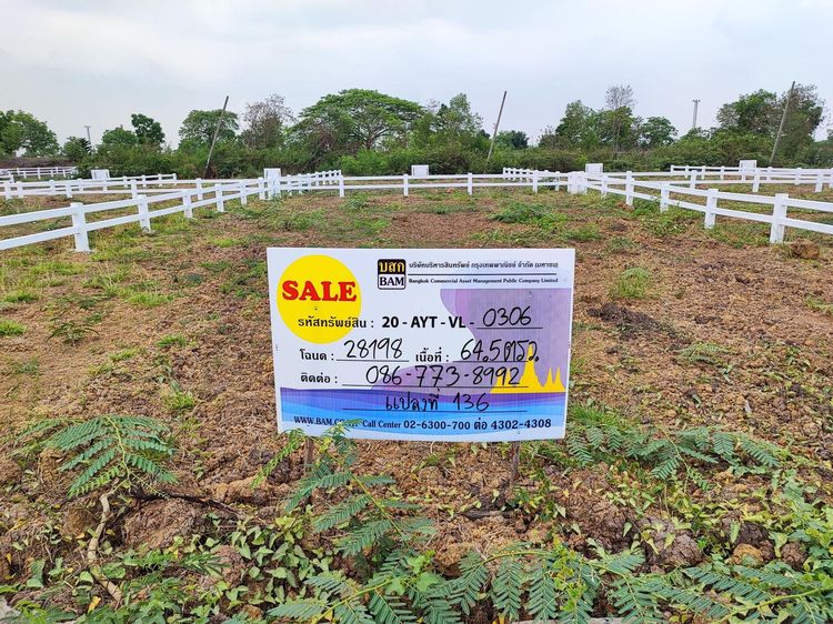 ใช่ 💖 ที่ดิน พระนครศรีอยุธยา ราคาพิเศษ! 💖 รูปที่ 4