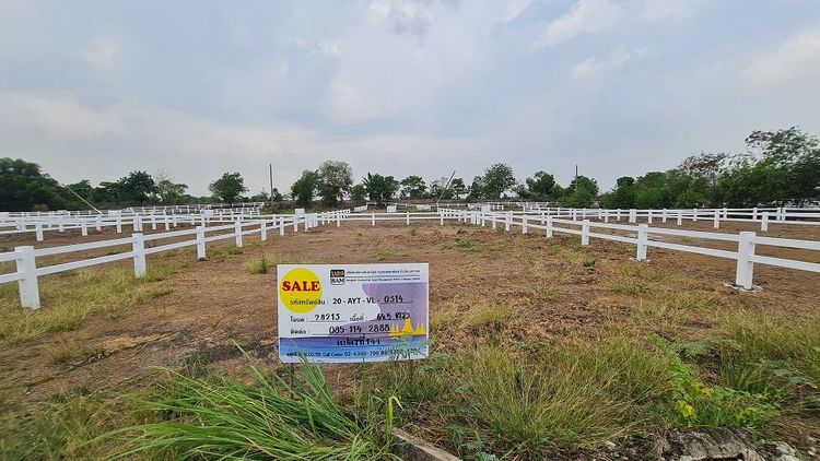 💖 ที่ดิน พระนครศรีอยุธยา ราคาพิเศษ! 💖