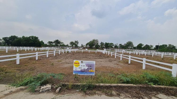 💖 ที่ดิน พระนครศรีอยุธยา ราคาพิเศษ! 💖