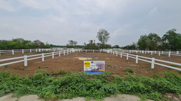 ใช่ 💖 ที่ดิน พระนครศรีอยุธยา ราคาพิเศษ! 💖 รูปที่ 3