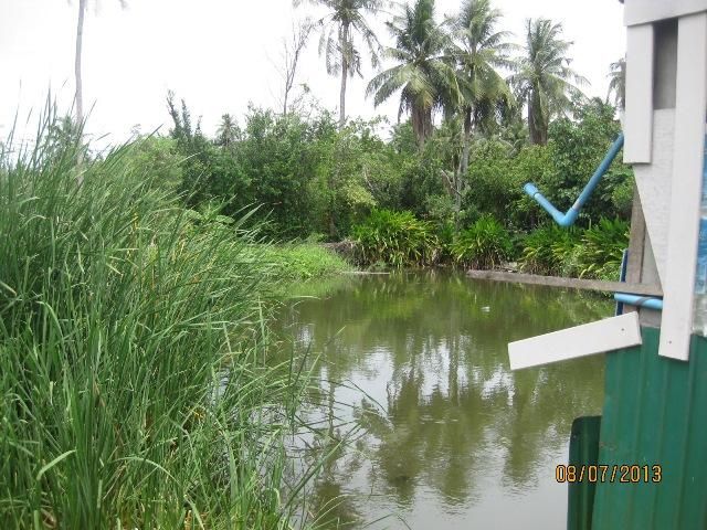 ใช่ 💖 ที่ดิน บางขุนเทียน ราคาพิเศษ! 💖 รูปที่ 2