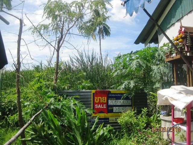 ใช่ 💖 ที่ดิน บางขุนเทียน ราคาพิเศษ! 💖