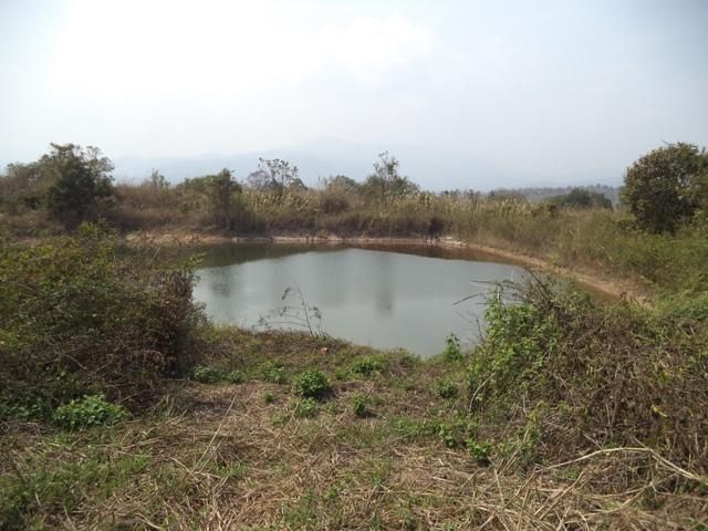 ใช่ 💖 ที่ดิน แม่ริม ราคาพิเศษ! 💖 รูปที่ 4